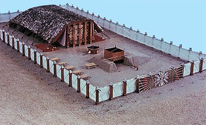 ������ 250.jpg