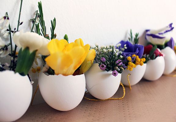 Цветы в скорлупе Цветы в скорлупе 576.jpg